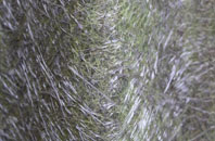 Coughton Fields fibreglass roof work